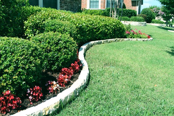 Tips To Save Time on Lawn Care - Impact Landscapes LLC - 972-849-6443