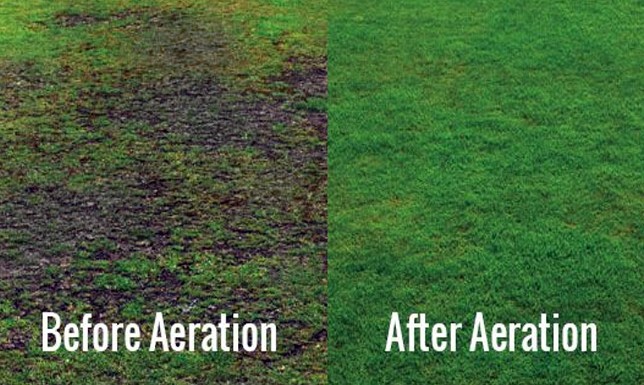 4 Questions Answered About Aeration - Impact Landscapes LLC - 972-849-6443